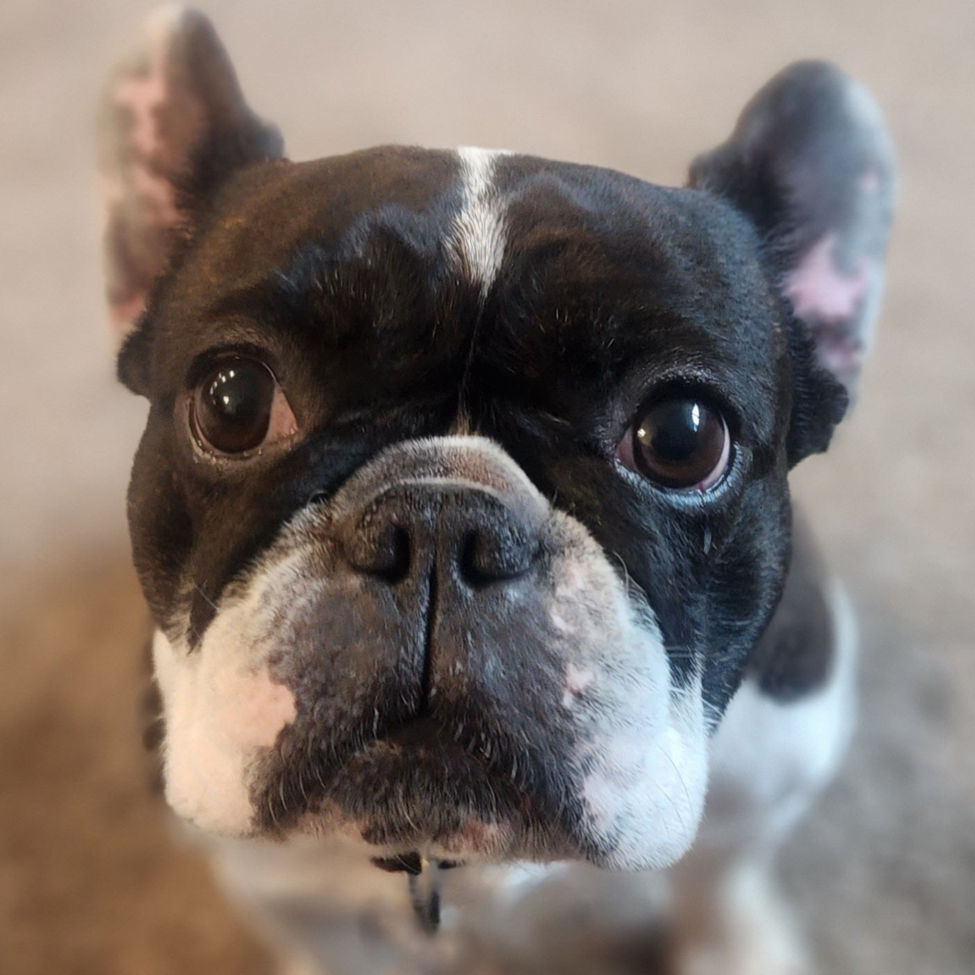 International Shipping Estimated Add-On fee (not for Canada)