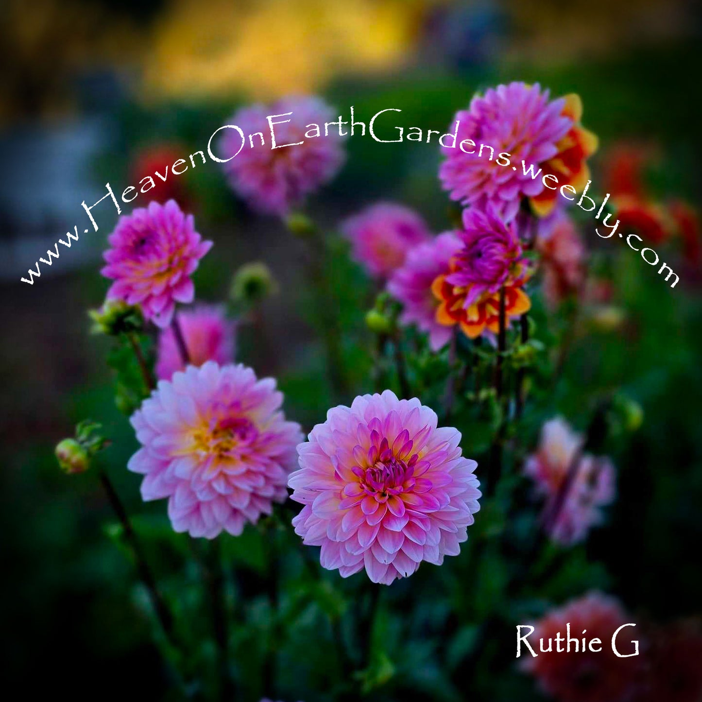 Ruthie G