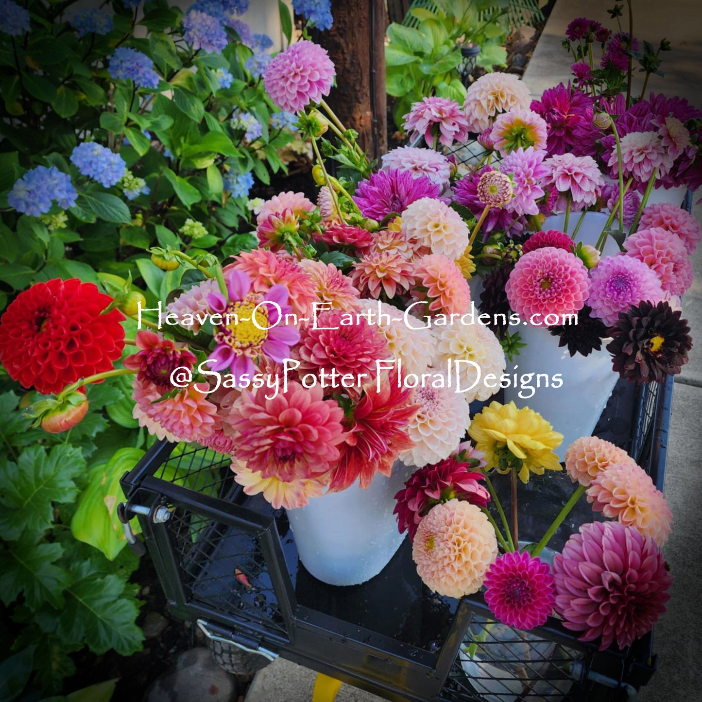 Grower's Choice