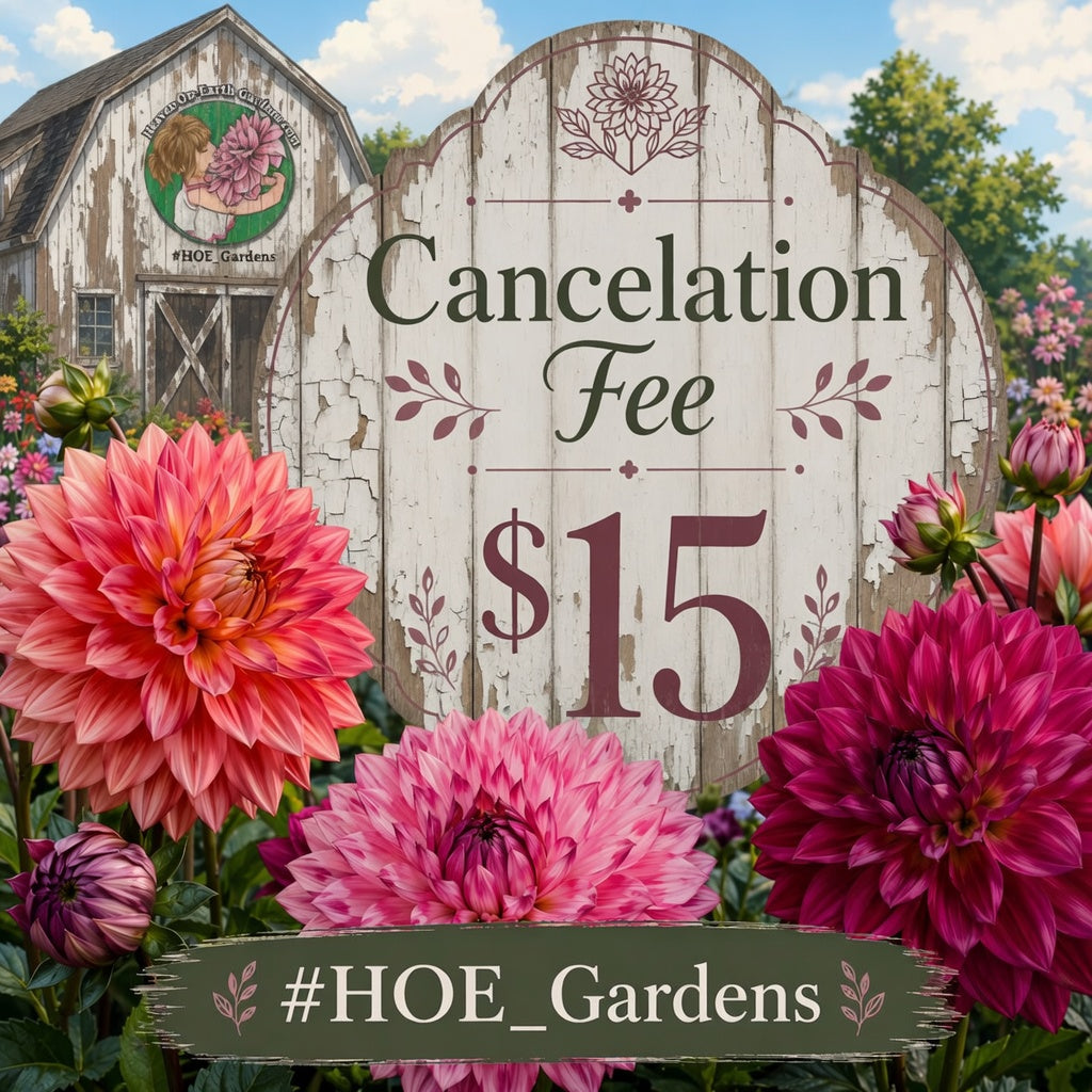 $15 Cancellation/Restock Fee