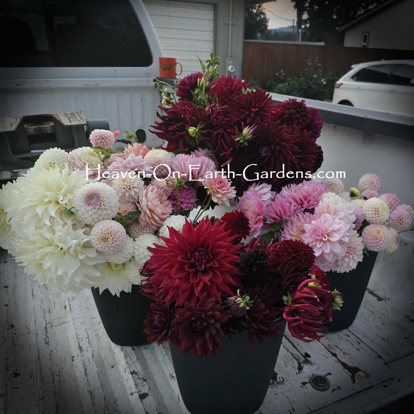 Grower's Choice