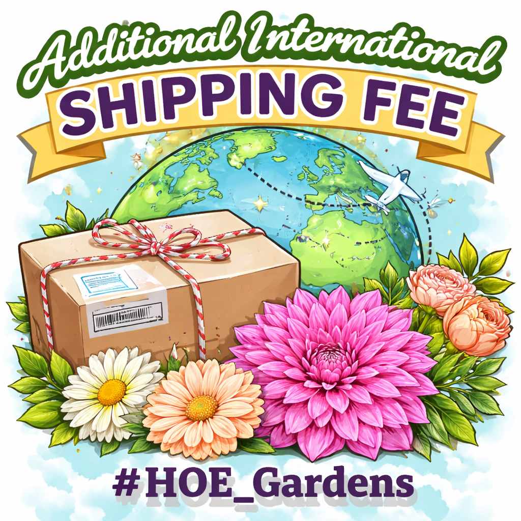 Additional International Shipping