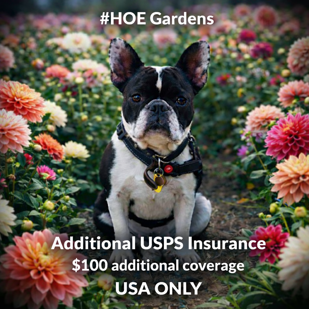 Additional USPS Insurance ($100 additional coverage) USA only